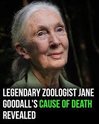 Jane Mitchell. Rest in peace Jane 😞