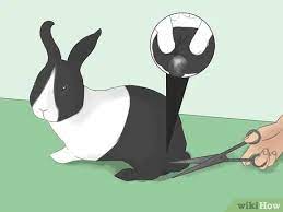 Scented or unscented is acceptable. 3 Ways To Bathe Your Pet Rabbit Wikihow