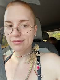 Which dragon would you want to ride?