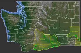 Image result for Lipocarpha micrantha