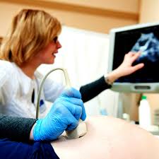 23 haftalık gebelikte neler olduğunu prima ile keşfedin! Gebelikte Hafta Hafta Bebegin Boyu Ve Kilosunu Hesaplama Gebe Com