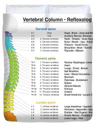 Vertebral Column Reflexology Chart Duvet Cover