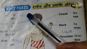 English vocabulary about parts of the body with photos. Body Parts In Hindi And English Through Tamil Language Learn Hindi Youtube