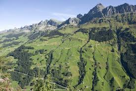 Giacimento di fiori giallo, bello paesaggio dello svizzero. Soprannomi Nella Svizzera Centrale