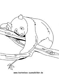 Kostenlose Ausmalbilder Ausmalbild Panda 2