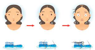 Armour thyroid (thyroid desiccated) is a naturally derived combination of the t3 and t4 thyroid hormones made by your thyroid gland. Thyroid And Hair Loss Thyroid Advisor