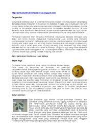 Why malay muslim discrimination against minority is getting worst in malaysia? Permainan Tradisional