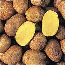 The Best Potato Varieties To Cook With Potato Suppliers Fff