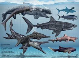 Prehistoriccreatures Ancient Animals Prehistoric Animals Prehistoric Creatures