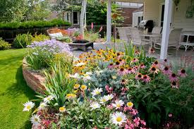 Pin On Backyard Garden