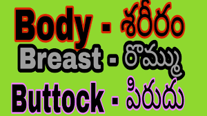 Loves, podugu, gajjalu, kaleyam means, మేక శరీర భాగాలు. Humanbodypartsnames Humanbod Parts Of Human Body In Telugu Human Body Parts Names In Telugu 2020 Youtube