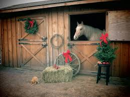 Pictures by swkunst 1 / 7 toy horse w/bow isolated on white stock image by photoeuphoria 2 / 115 christmas horse with snow scene stock photos by boohoo 3 / 926 white horse stock photography by mariait 15 / 1,798 christmas horse stock photos by svolver 4 / 245 the snowman and the horse pictures by peterdenovo 14 / 355 a very merry christmas. Country Weihnachten Merry Christmas Horse Barn 2560x1920 Wallpaper Teahub Io