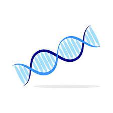 Dna Helix Icon Vector Illustration Dna Icons Background Biology Png And Vector With Transparent Background For Free Download In 2020 Dna Helix Vector Illustration Dna