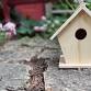 Paint a Birdhouse Workshop