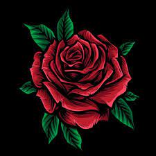 Red Rose Vector With Leaf Black Roses Wallpaper Red Roses Wallpaper Red Roses