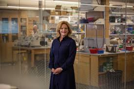 Matthew H. Bailey PhD