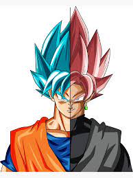 Son Goku SSJB x Black Goku