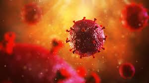 The virus is transmitted through bodily fluids such as blood, semen. Human Immunodeficiency Virus Hiv Fda