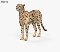 Pin On Animal 3d Models