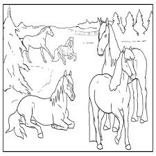 Sjors sportief manege prinsenbankhoeve coloring pages free for adults oracle animals mandala paarden kleurplaten voor volwassenen in de app store kleurplaten234 als kind was er niets anders waar ik meer van kon genieten dan me met m n kleurpotloden te verdiepen in een kleurplaat. Kleurplaat Paarden Manege De Mooiste Kleurplaten Van Paarden Paarden Kleurplaat Een Gezadelde Pony Zoek Vind Kado S Voor Kids Uspehradika