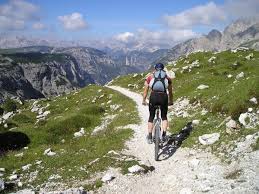 Because of this, many bike shops and online brands are nearly. 7 Of The Best Mountain Bike Brands Liveoutdoors