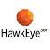 HawkEye 360 logo