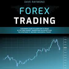$6514.65, reached a peak of $6553.06. How People Have Become Successful Forex Traders For Beginners Audiobook