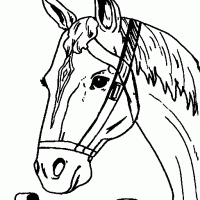 Kleurplaten paardenhoofd auto electrical wiring diagram. Kleurplaten Paardenhoofd Kleurplaten Kleurplaat Nl