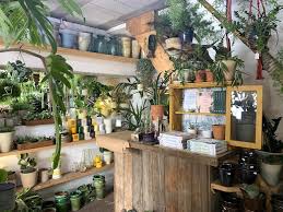 Forest Plant Shop East Dulwich London Forest Plants Plants London