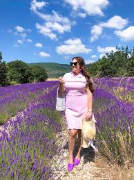 قائمة دلو فرحة حقول الخزامى في بروفانس أحمر الشفاه وقح أحمر Sassy Red Lipstick Lavender Fields Lavender