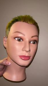 Anything But Hair Project Peacock