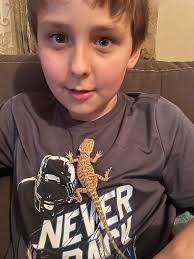 Everyone meet BLiTZEN 💙🩵 Mama's babyboyyyy