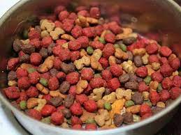 Here is another healthy and safe homemade dog food for diabetic dogs recipe that your pup will love. Dangerous Dog Food Dog Food Recipes Diabetic Dog Food Dog Food Comparison