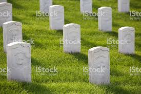 Image result for 22 dead veterans