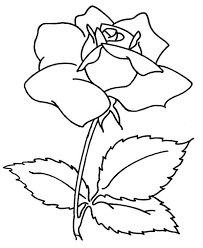 Some of them look very detailed, so that must be. Rose Flower Coloring Page Netart
