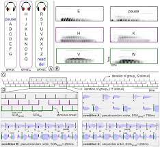 Group 5 u v w x y z 50. The Alphabet Consisting Of 30 Characters And Symbols Was Split Into 3 Download Scientific Diagram