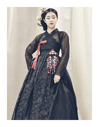 Nuance Delicate Traditional Outfits Korean Dress Modern Hanbok
