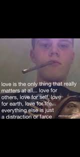 David DiDonato (@y0.david)