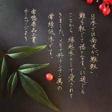 クリスマスではない めちゃ曲がった 南天 クリスマス 字 書 書道 ペン習字 ペン字 ボールペン ボールペン字 ボールペン字講座 硬筆 筆 筆記用具 手書きツイート 手書きツイートしてる人と繋がりたい 文字 美文字 calligraphy japanesecalligr 美文字