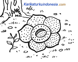 Contoh gambar bunga raflesia sir korot. Gambar Lukisan Bunga Rafflesia Cikimm Com