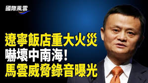 米紙｜賀年必備好一朵迎春花｜Sybil 實試當花農桃花園打工陶淵明上身飲醉酒仆親鋤頭都鋤爛失業姐又要失業了？！#失業姐-