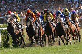 Check spelling or type a new query. Rennbahn Hamburg Deutscher Galopp