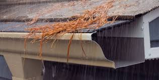 Your gutters serve an important function. Best Gutter Guard For Pine Needles Clean Pro Gutters
