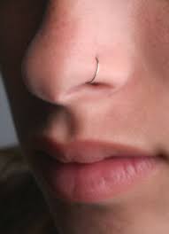 Piercing De Nez Anneau En Argent A Ecarter Piercing Nez Piercing Nez Anneau Piercing