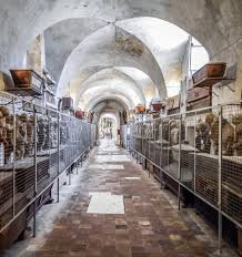Kapuzinergruft von palermo the capuchin catacombs of palermo катакомбы капуцинов catacombe dei cappuccini catacumbas de los capuchino. Le Catacombe Dei Cappuccini Kapuzinergruft In Palermo