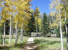 Maybe you would like to learn more about one of these? Duck Creek Dixie National Forest Recreation Gov