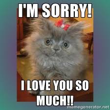 I M Sorry I Love You So Much And 10 More Purrfect I M Sorry Memes Cat Birthday Memes Sorry Memes Love You Meme