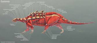 Gastonia is a genus of polacanthine ankylosaurid dinosaur from the early cretaceous of north america, around 125 million years ago. Artstation Gastonia Burgei Muscle Study Rushelle Kucala