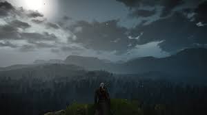 The political climate isn't actually all that big a deal in the witcher 3. At The Edge Of The World Witcher