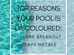 That depends on a few things. Why Swimming Pools Turn Green Brown Or Black After Adding Chlorine Shock Dengarden